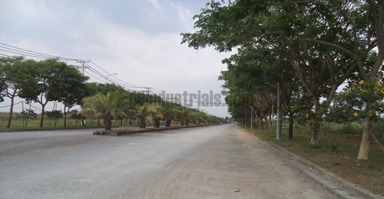 Industrial Land Sale HCMC02